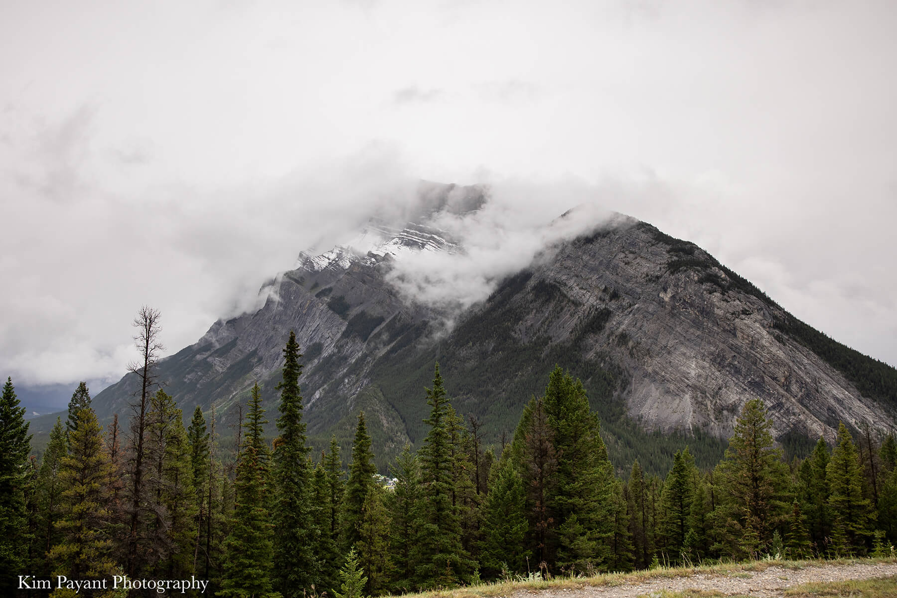 banff lake louise weddings
